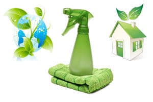 HOUSEHOLD AND MAINTENANCE: WHY USE ECOLOGICAL PRODUCTS?